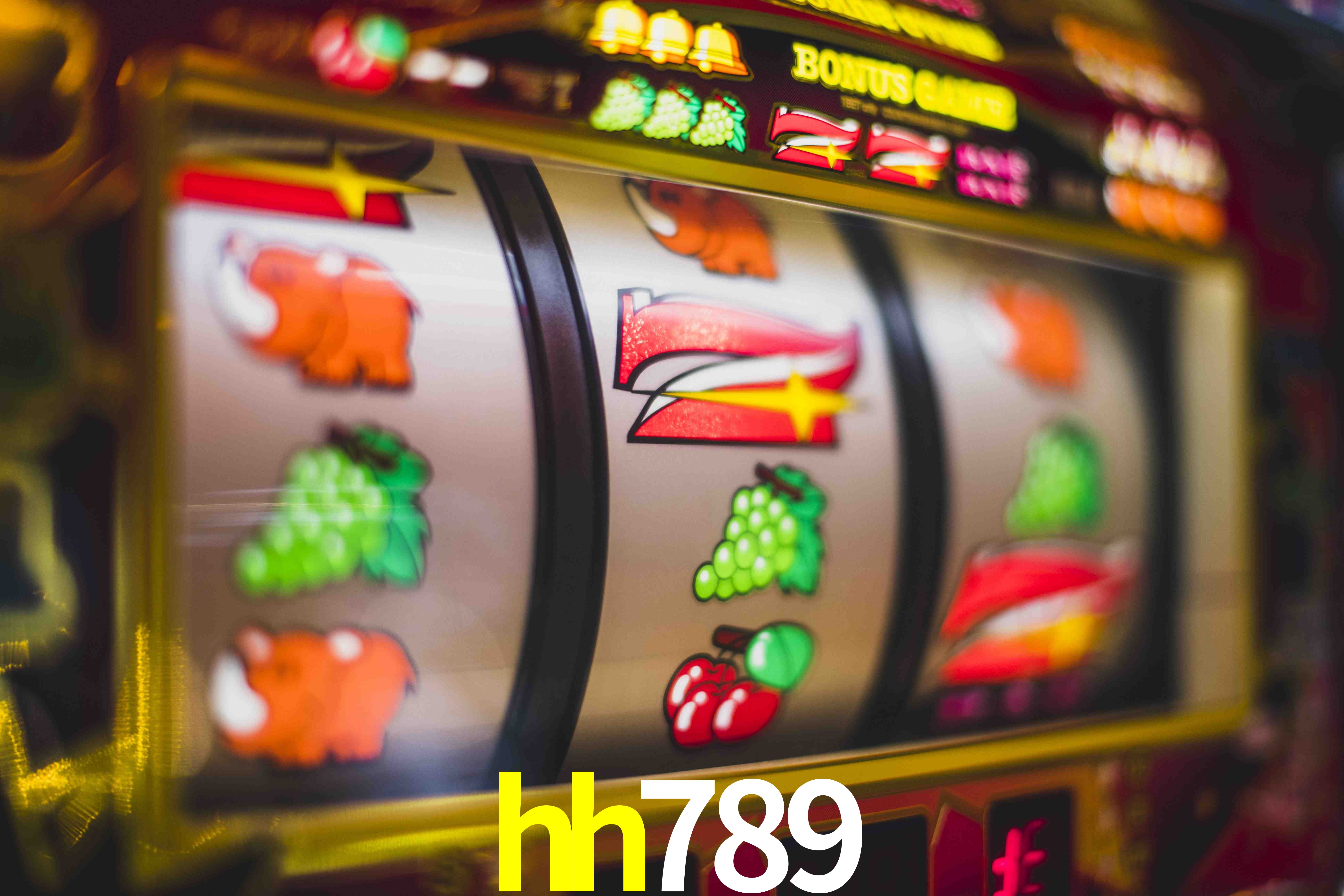 VIP Casino hh789